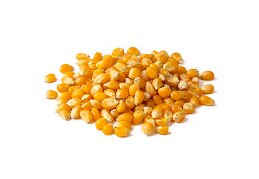 CORN 1 - Tekkeli Gıda