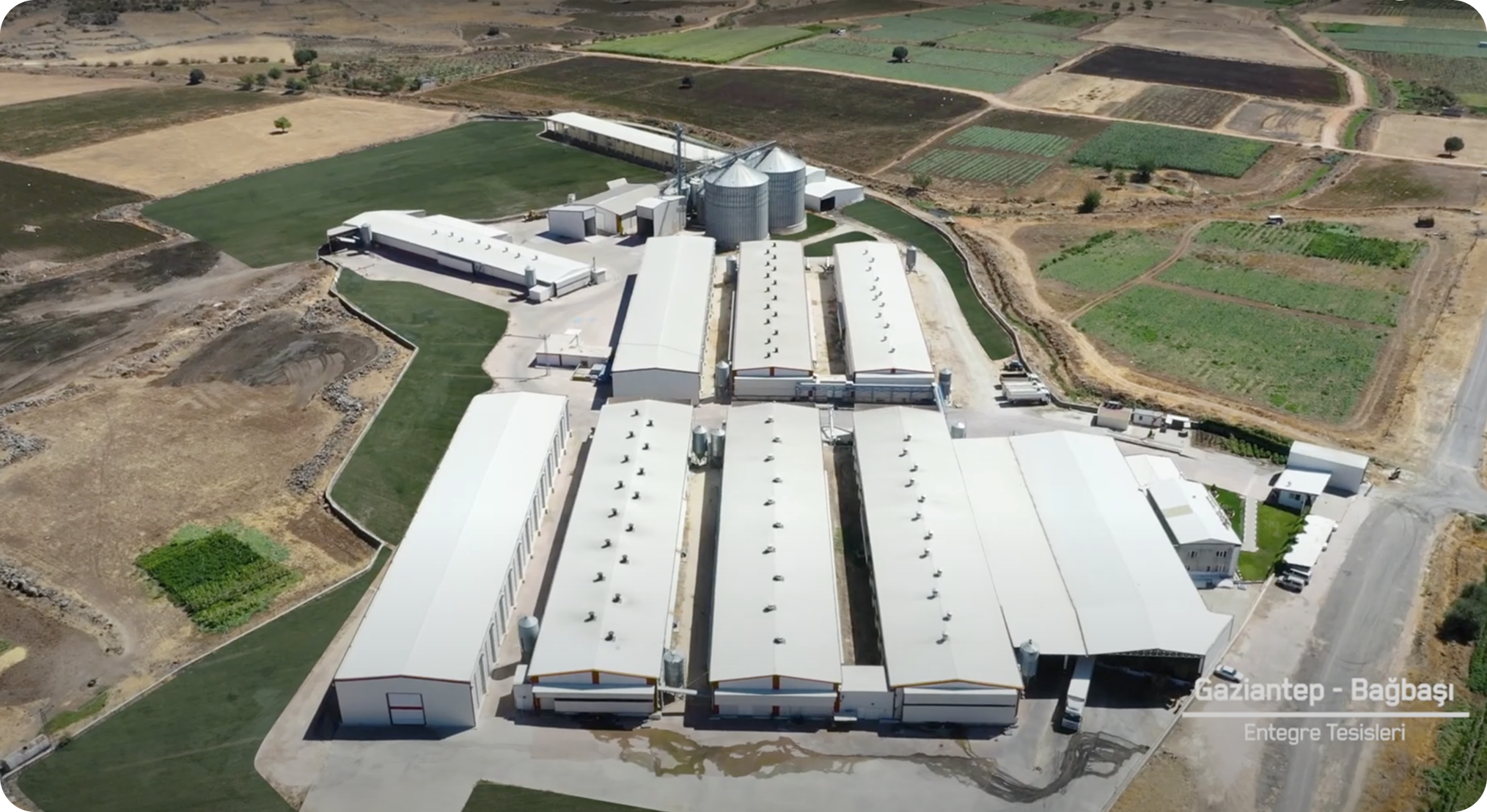 Frame 1638 1 - Tekkeli Gıda