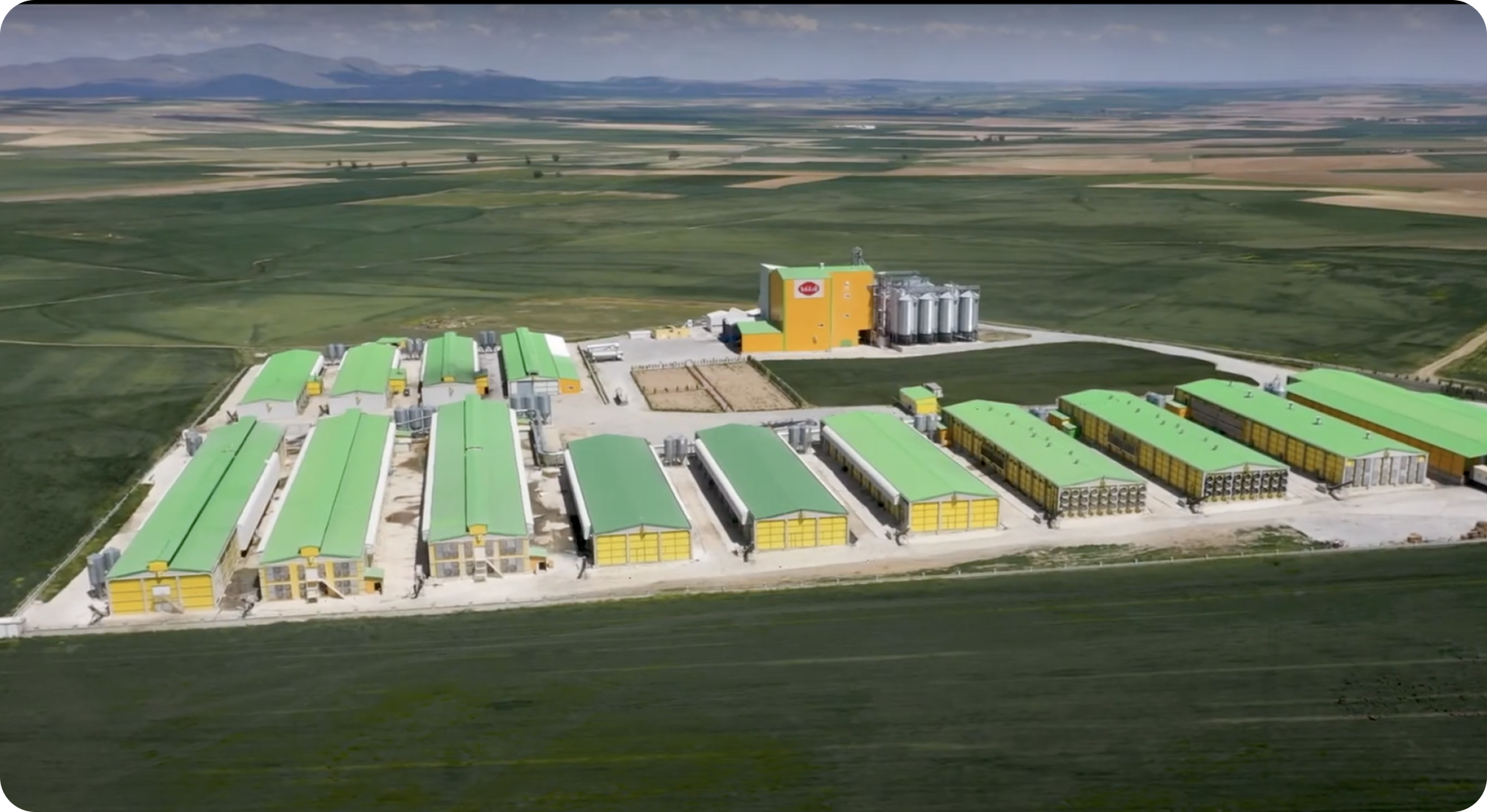 Frame 1638 2 - Tekkeli Gıda