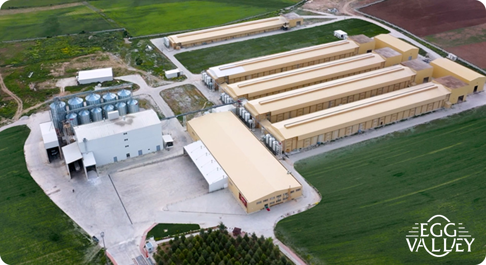 Frame 1638 3 1 - Tekkeli Gıda