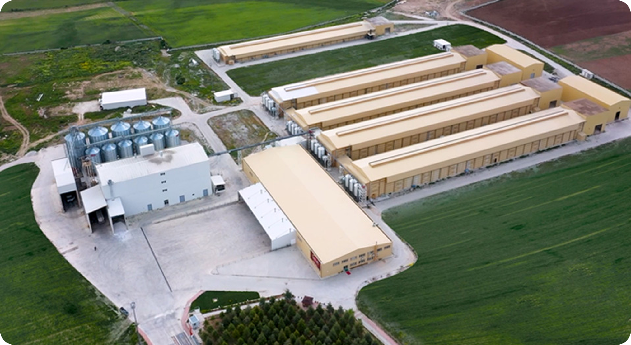 Frame 1638 3 - Tekkeli Gıda