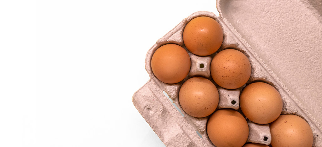 egg products - Tekkeli Gıda