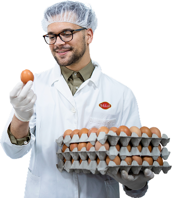 image 3 - Tekkeli Gıda