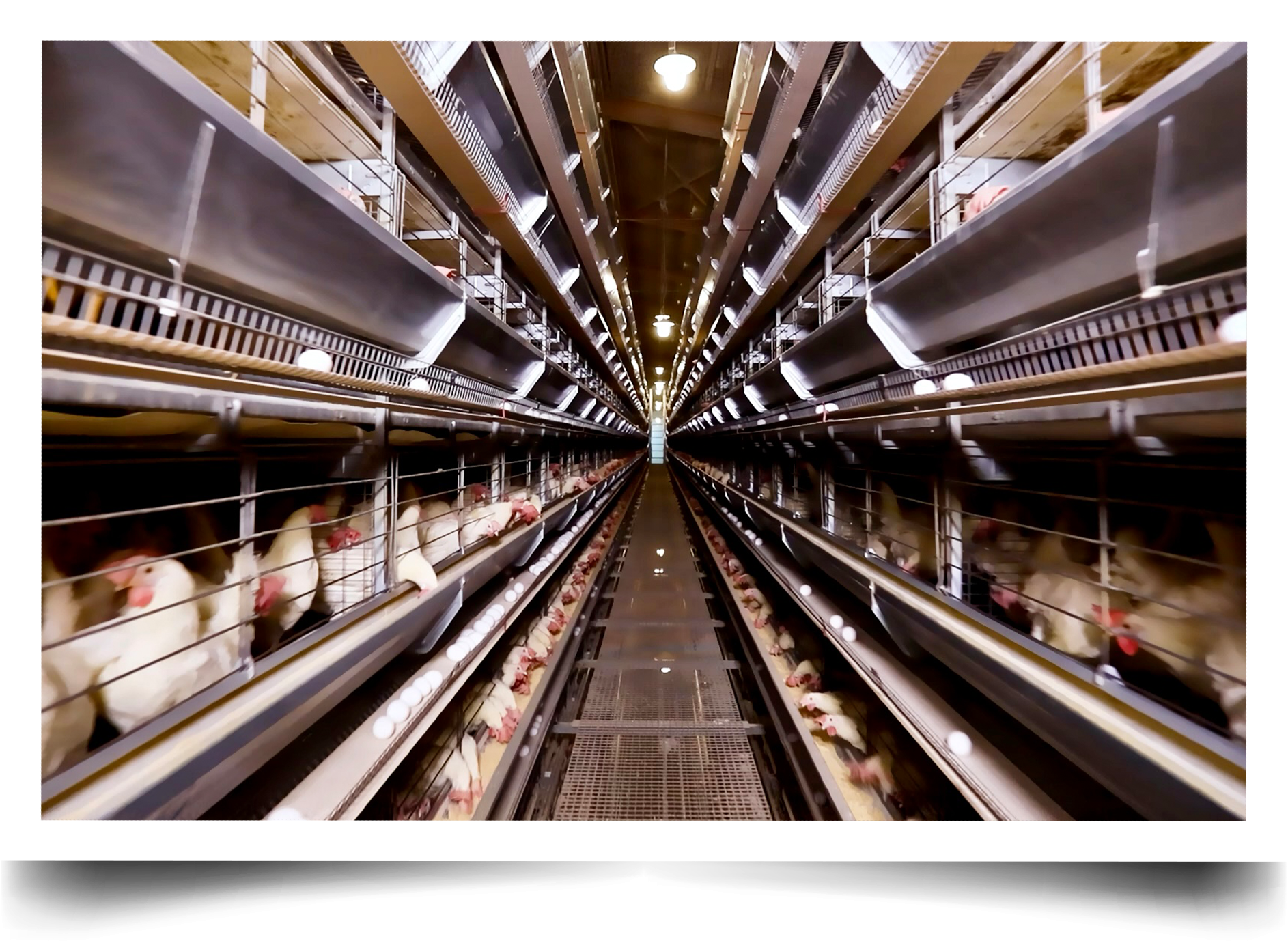 story4 - Tekkeli Gıda