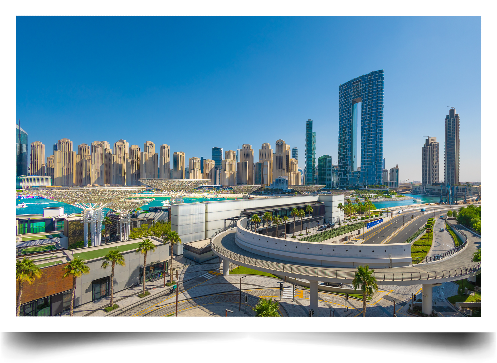 story7 - Tekkeli Gıda