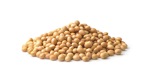 SOYBEAN 1 - Tekkeli Gıda