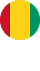 Guinea - Tekkeli Gıda