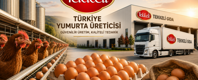 turkiye yumurta ureticisi tekkeli gida - Tekkeli Gıda